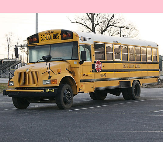 Princeton school district seek state grant for two electric school buses