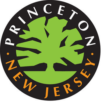 PRINCETON: Public’s parking priorities identified
