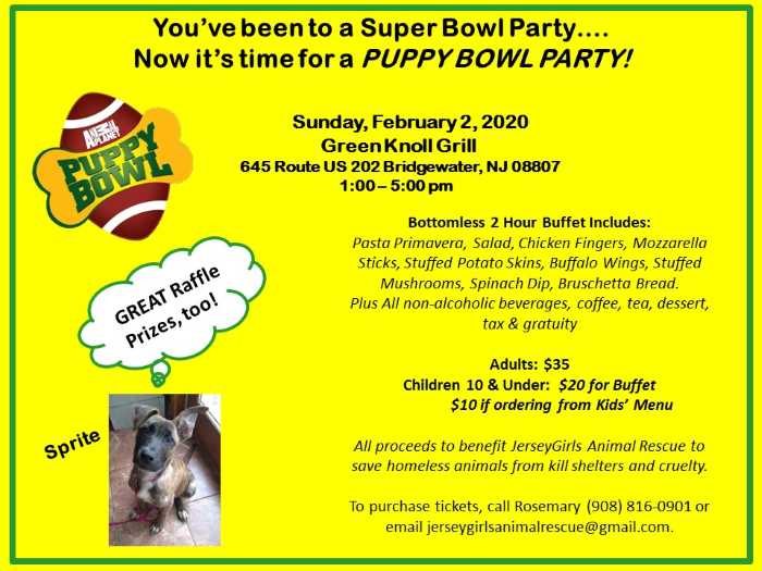 Jersey Girls Animal Rescue Puppy Bowl Party