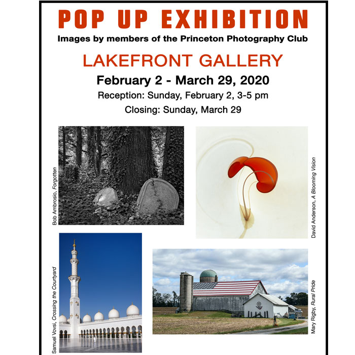 Pop Up Exhibit at Lakefront Gallery