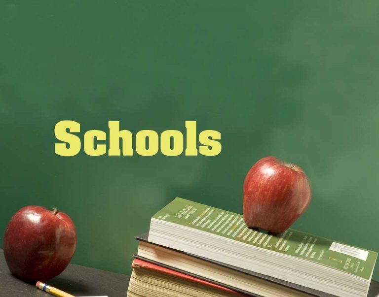 Metuchen School District’s bond referendum passes: Full-day kindergarten, improvements on horizon