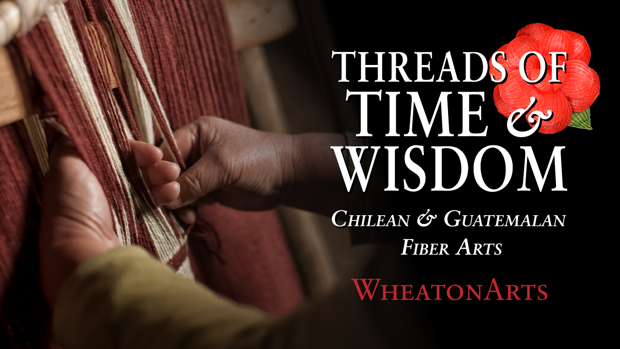 Threads of Time & Wisdom: Chilean Textiles & Horse Hair Miniatures