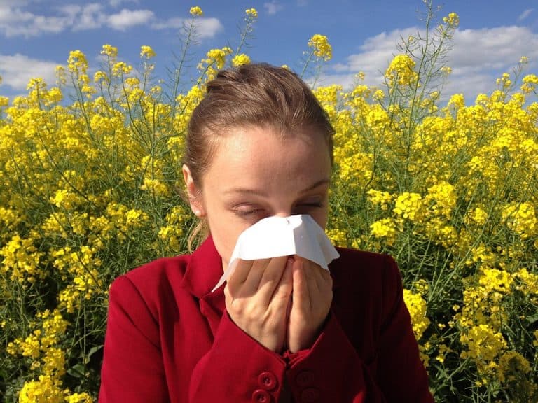 Don’t Sneeze Your Way Through Spring: Seek Care for Seasonal Allergies