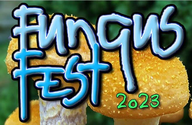 FUNGUS FEST 2023