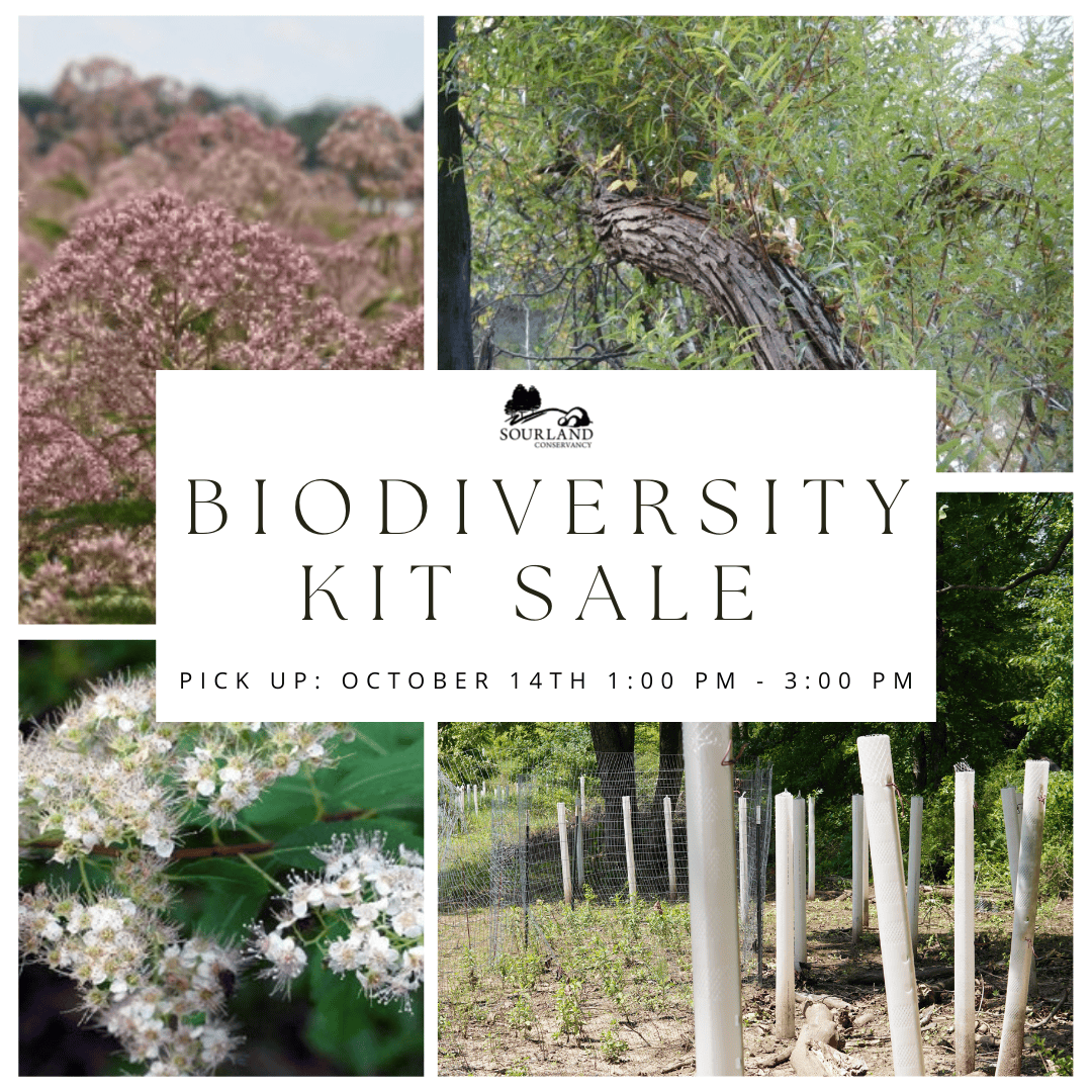 Sourland Conservancy's Biodiversity Kit & Design Sale