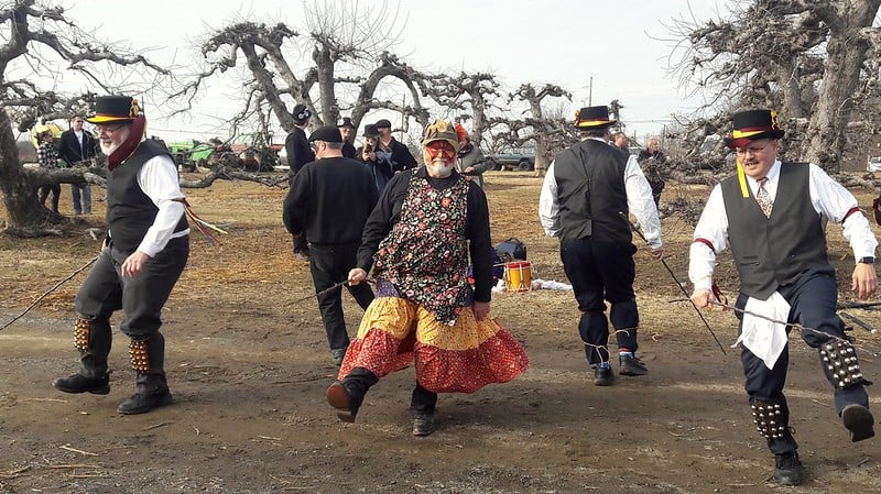 Wassailing the Apple Trees