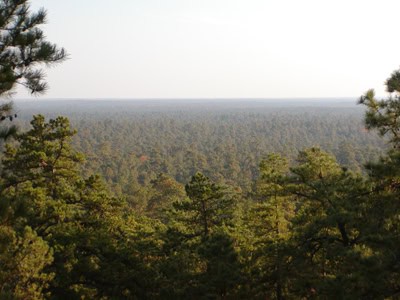 A chance to photograph the Pinelands