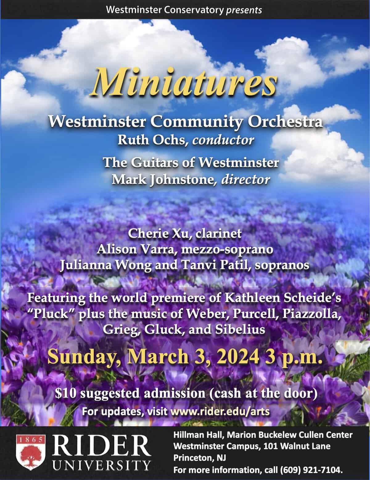 Westminster Community Orchestra Presents “Miniatures”