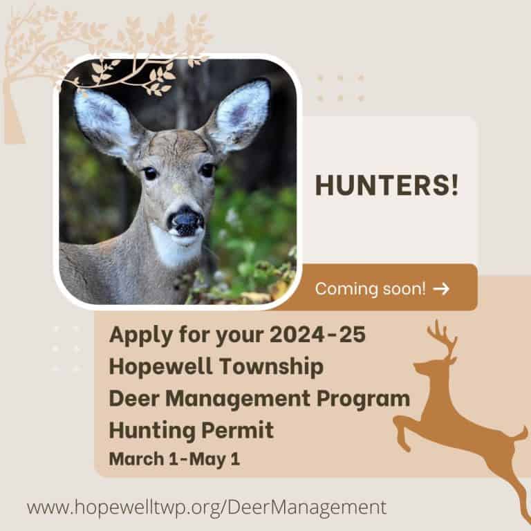 Deer hunter permit applications open for the season