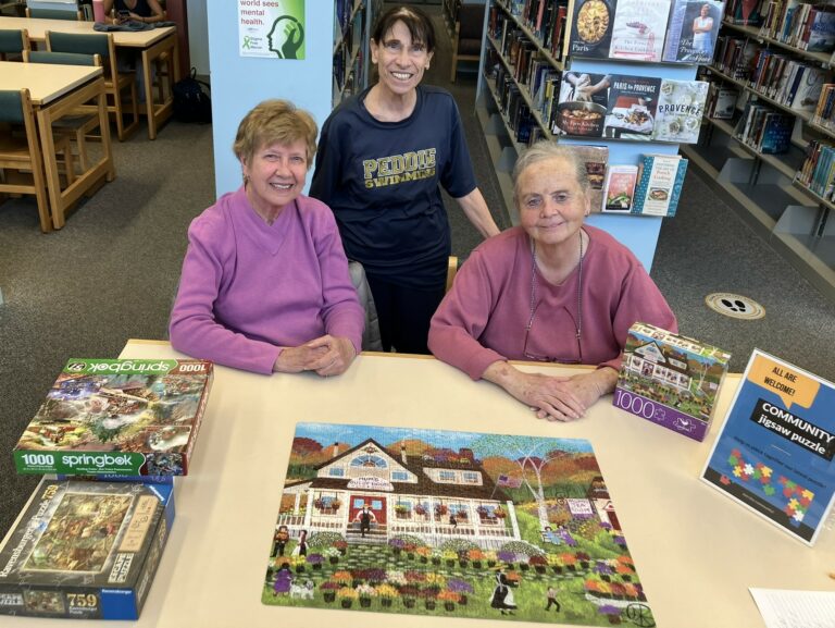 Jigsaw puzzle experts