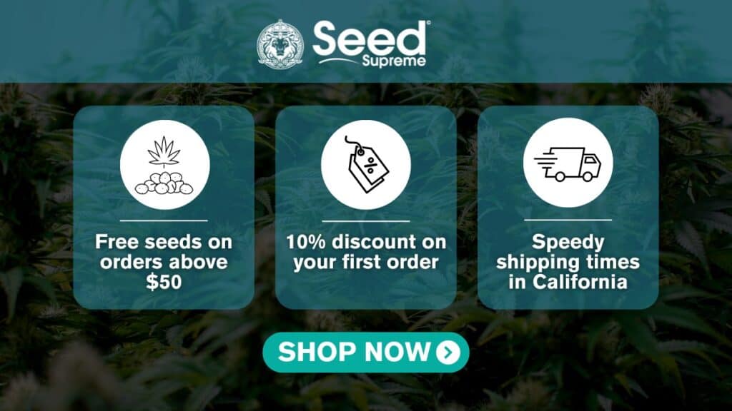 seed supreme