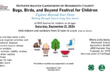 Bugs Birds and Beyond a FREE Festival for Children