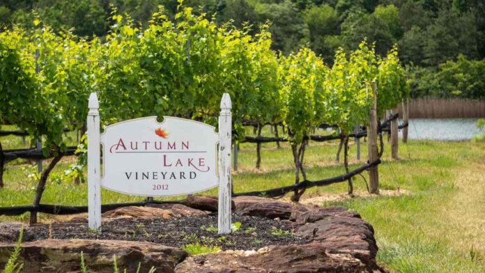 Wineries in NJ