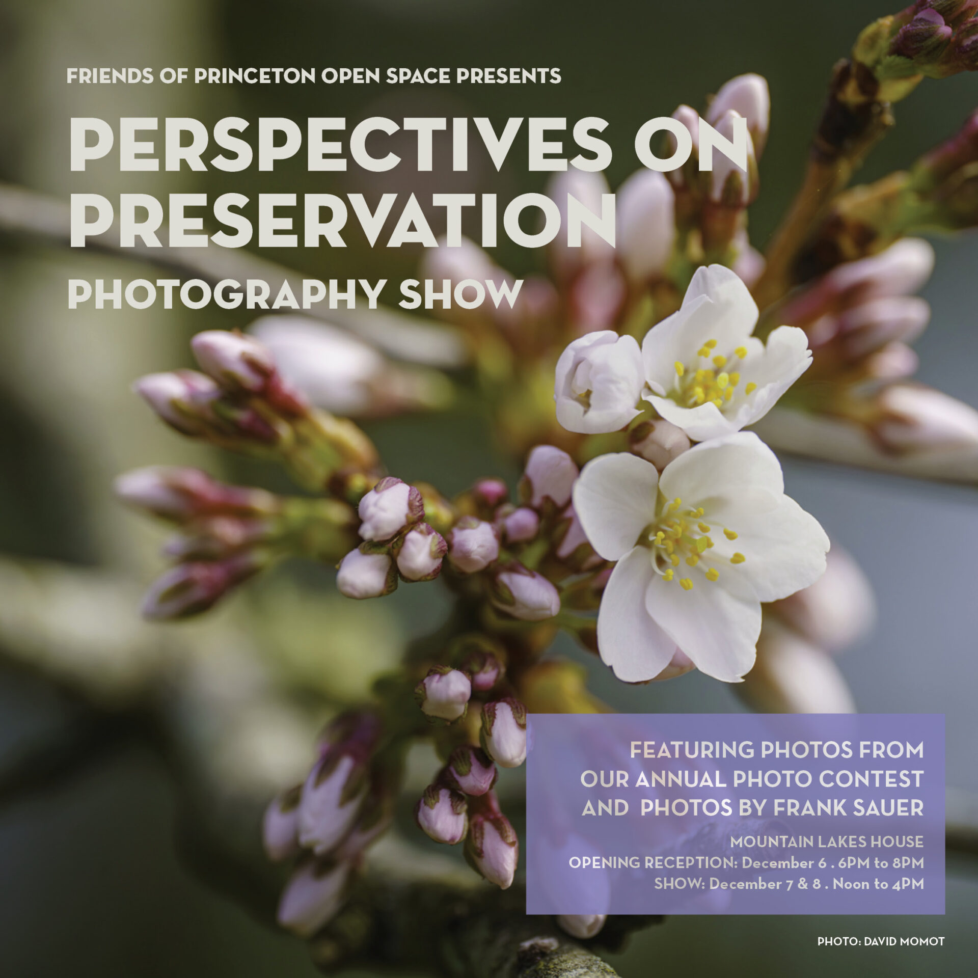 Perspectives on Preservation Photo Show Opening